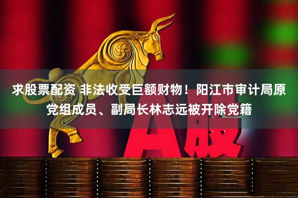 求股票配资 非法收受巨额财物！阳江市审计局原党组成员、副局长林志远被开除党籍